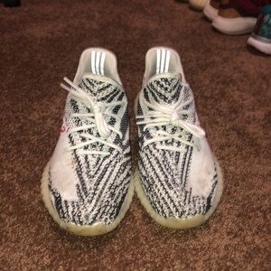 Zebras